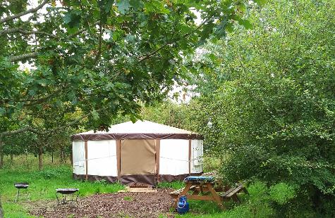 A Yurt at Woodland Escape glamping in Somerset
